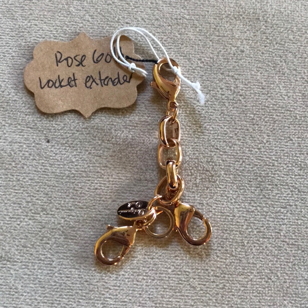 Locket extender